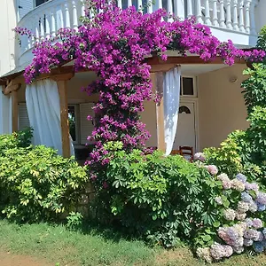 oruci-apartments.albaniahotels.org/
